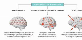 Image result for Smart Person Brain