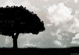 Image result for Black Tree with Hedgehog Wallpaper