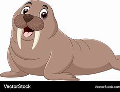 Image result for Albino Baby Walrus