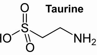 Image result for Taurin Ikan