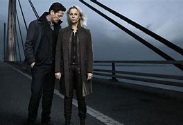 Image result for The Bridge Blood TV Show Sweden