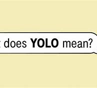 Image result for What Does Yolo Mean