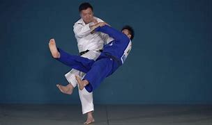 Image result for Ashi Waza Judo