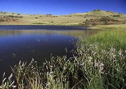 Image result for Suikerbosrand Nature Reserve