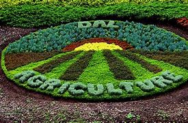 Image result for Daali Agriculture