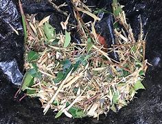 Image result for Branch Shredder