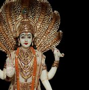 Image result for Salagrama Vishnu Idol