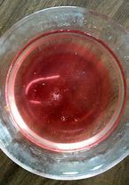 Image result for Candy Cane Experiment for Preschool