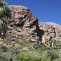 Image result for Grasses of the Mojave Desert