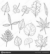 Image result for Family Tree with Leaves