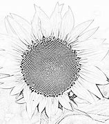 Image result for Pencil Sketch Kit