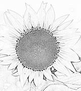 Image result for Custom Pencil Sketch