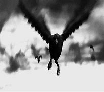 Image result for Eileen the Crow GIF