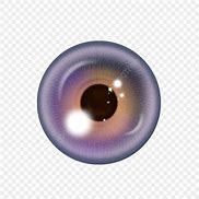 Image result for Pons Eye Globe Face