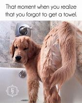 Image result for Green Dog Bathtub Meme