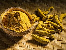 Image result for Haldi Plant