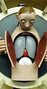 Image result for Paul Spooner Automata