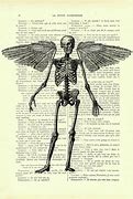 Image result for Angel Skeleton Found