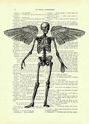 Image result for Angel Skeleton Found