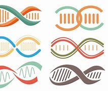 Image result for Double Helix Labels