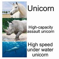 Image result for Female Unicorn Meme