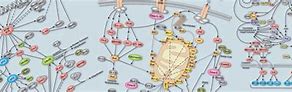 Image result for Cell Pathways Chart