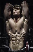 Image result for Aesthetic Physique