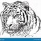 Image result for Cute Tiger Line Art