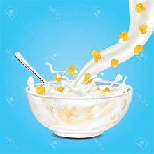 Image result for Cereal Bowl Vector