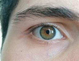 Image result for Dark Grey Hazel Eyes