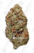 Image result for Tahoe OG Kush