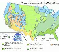 Image result for United States Vegetation Map