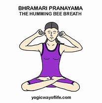 Image result for Pranayama Clip Art