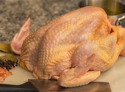 Image result for Chicken Poultry