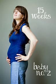 Image result for Bump at 15 Weeks