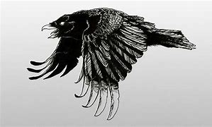 Image result for Raven Flying Drawing