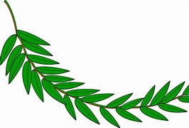 Image result for Leaf Decor SVG