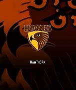 Image result for Hawthorn Hawks Logo