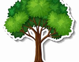 Image result for Tree Pictures Clip Art