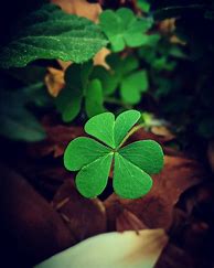 Image result for Money Luck Wallpaper HD