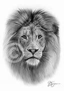 Image result for Simple Lion Drawing Pencil