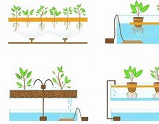 Image result for Hydroponic Watering System