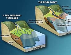 Image result for Delta Diagram in Science