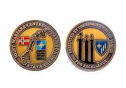 Image result for Nor Force Challenge Coin