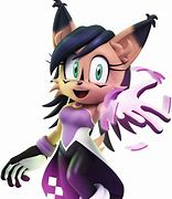 Image result for Nicole Sonic