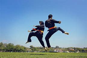 Image result for Silat