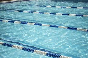 Image result for Pool Swim Lane Dividers