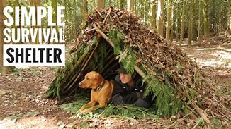 Image result for Survival Shelter Building