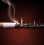 Image result for Tobacco HD