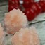 Image result for Easy Homemade Lip Scrub